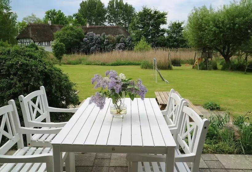 Birkelygaard Bed & Breakfast