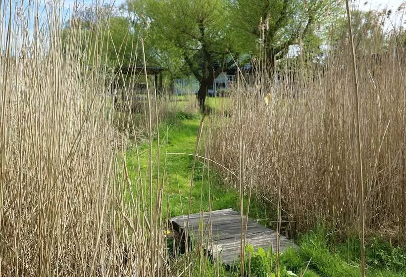 Birkelygaard Bed & Breakfast