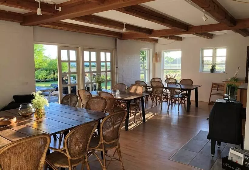 Birkelygaard Bed & Breakfast