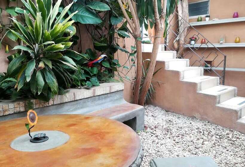 Gaudy´s Eco Hotel   Hostel