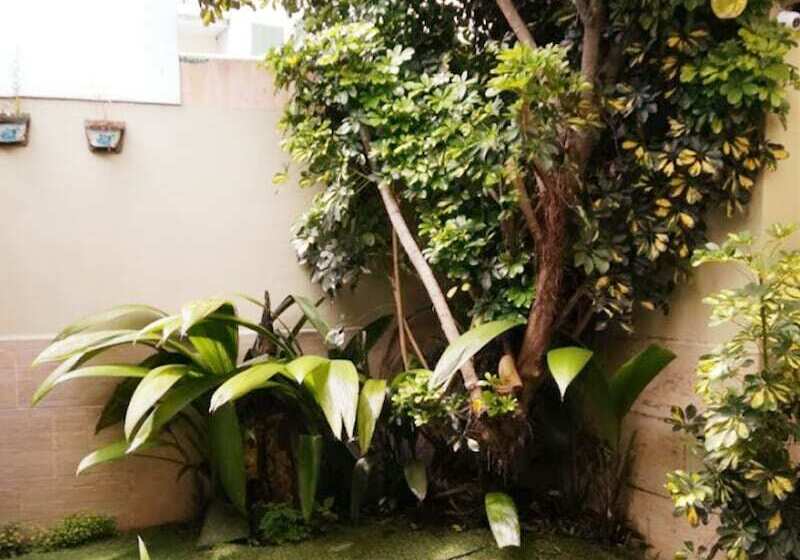 Gaudy´s Eco Hotel   Hostel