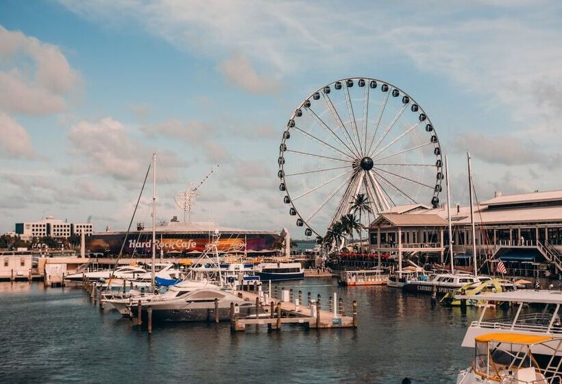בית מלון כפרי Citizenm Miami Brickell