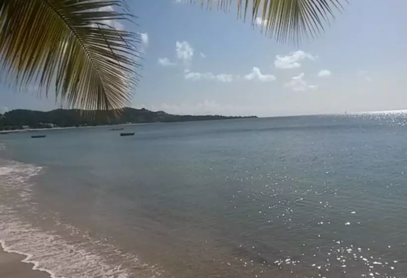 هتل Grand Anse Beach Palace