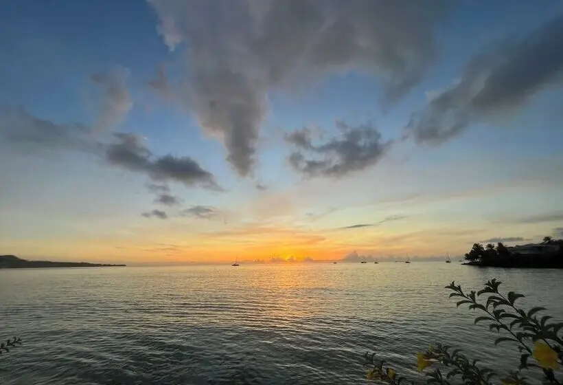 هتل Grand Anse Beach Palace