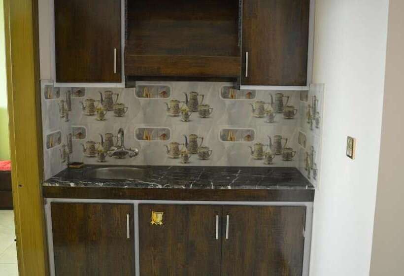 هتل Mustafa's Palace