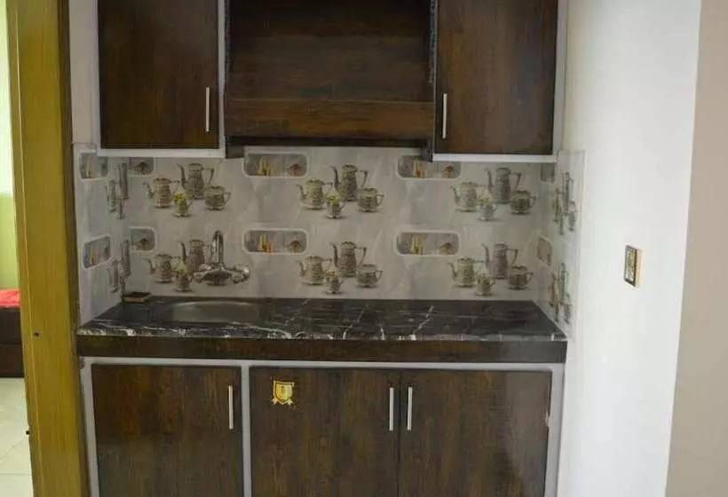 هتل Mustafa's Palace