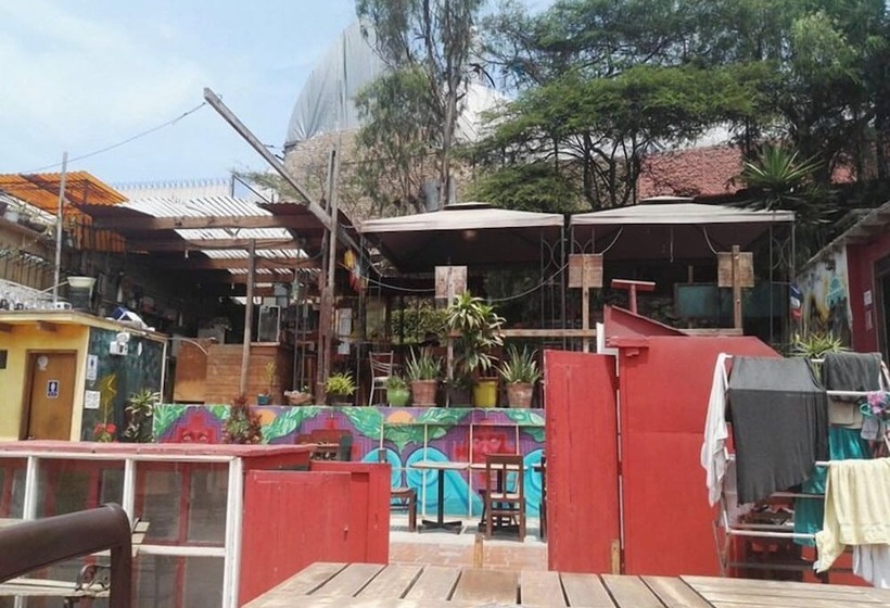 Kaminu Backpackers Hostel