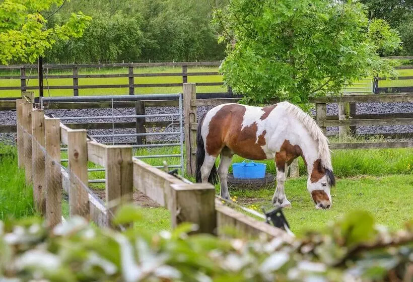 Maltkiln Cottage At Crook Hall Farm