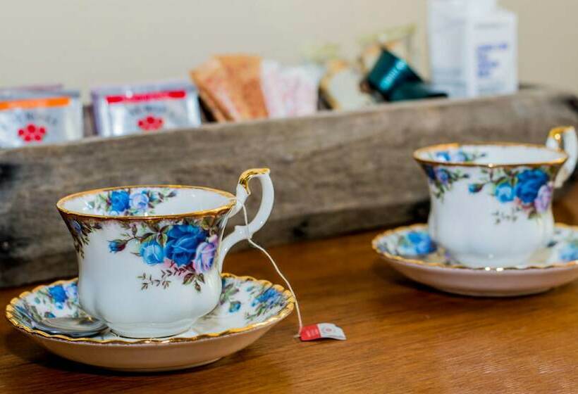 بنسيون Nantes Vue