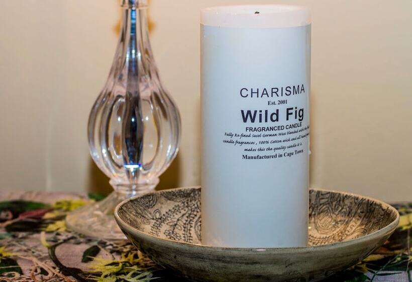 بنسيون Nantes Vue