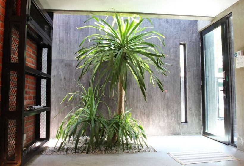 پانسیون Owl Homestay