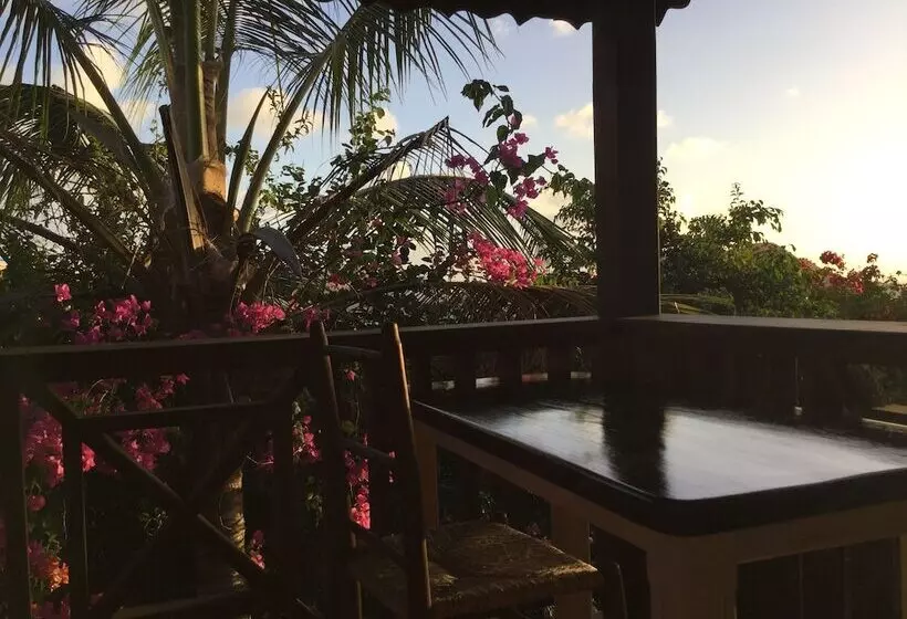 Top Of The Hill Cottage