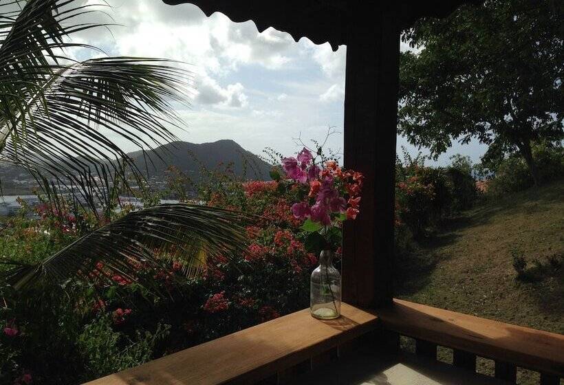 Top Of The Hill Cottage