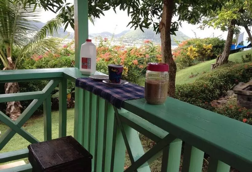 Top Of The Hill Cottage