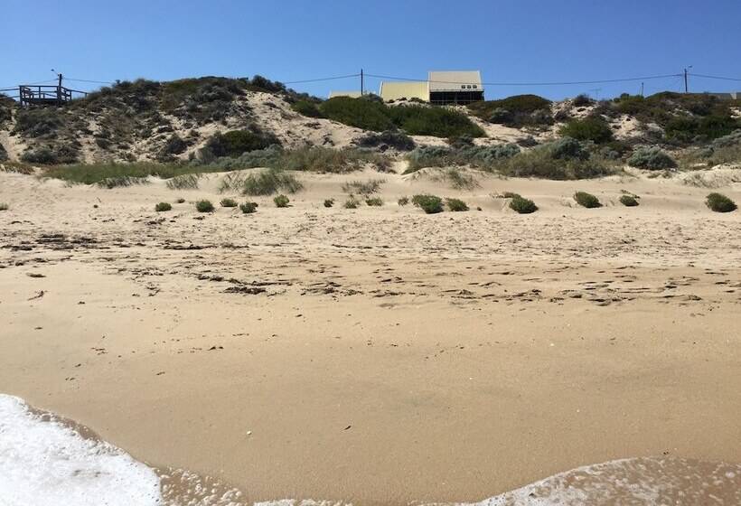 Beach Front The Wedge Adults Only