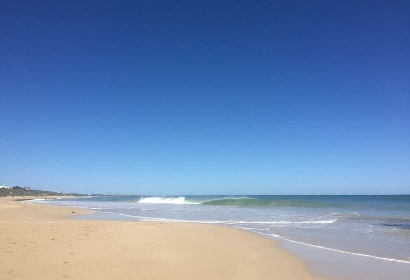 Beach Front The Wedge Adults Only
