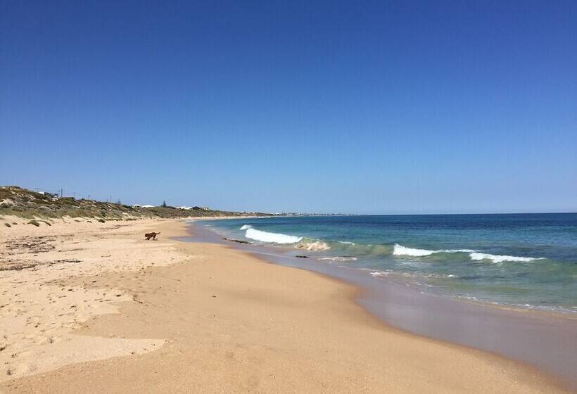 Beach Front The Wedge Adults Only