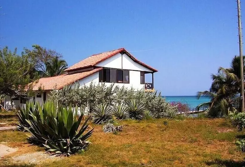Ecohotel La Cocotera   Hostel