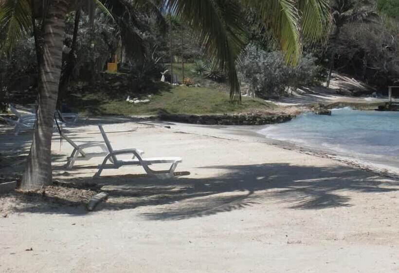 Ecohotel La Cocotera Hostel