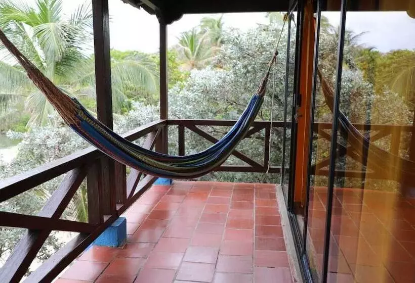 Ecohotel La Cocotera   Hostel