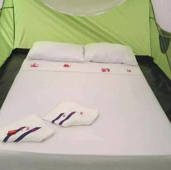 Ecohotel La Cocotera   Hostel