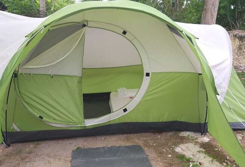 Ecohotel La Cocotera Hostel