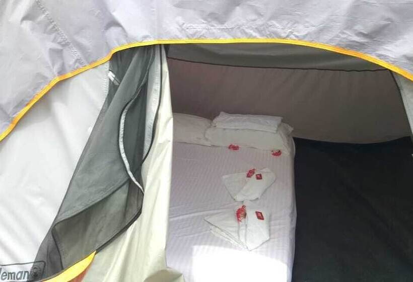 Ecohotel La Cocotera Hostel