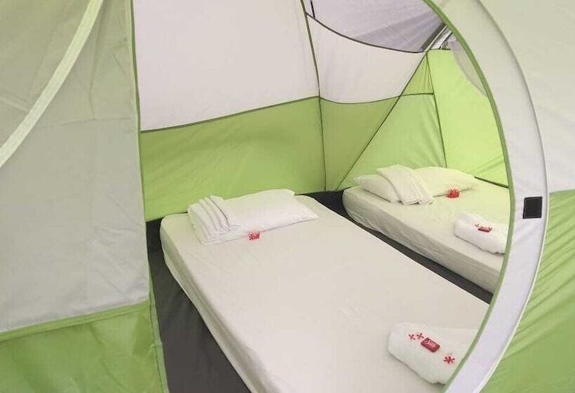 Ecohotel La Cocotera Hostel