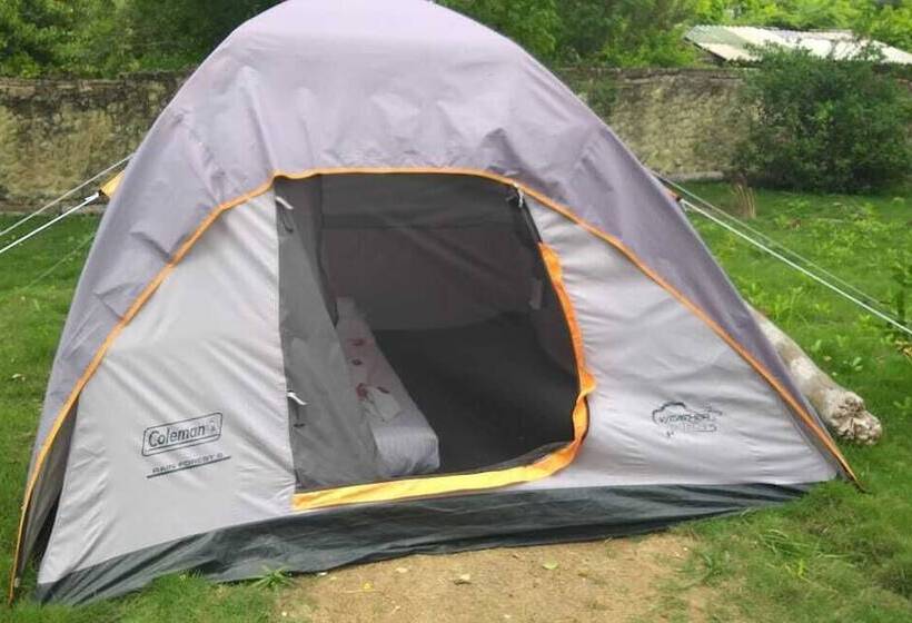 Ecohotel La Cocotera Hostel