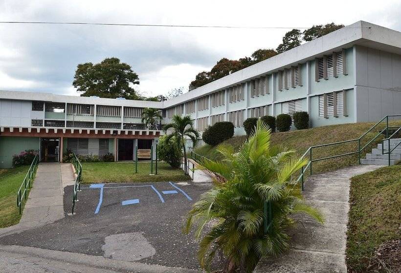 Hostal Universitario