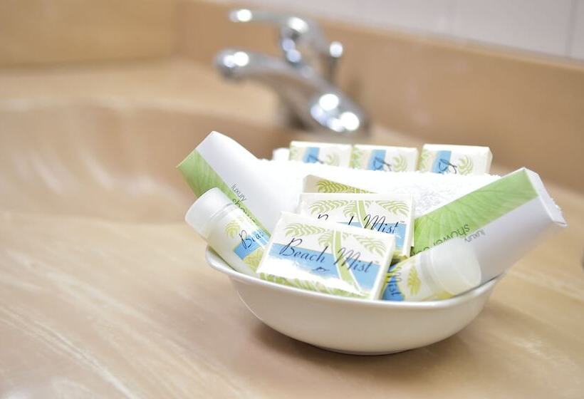 Hostal Universitario