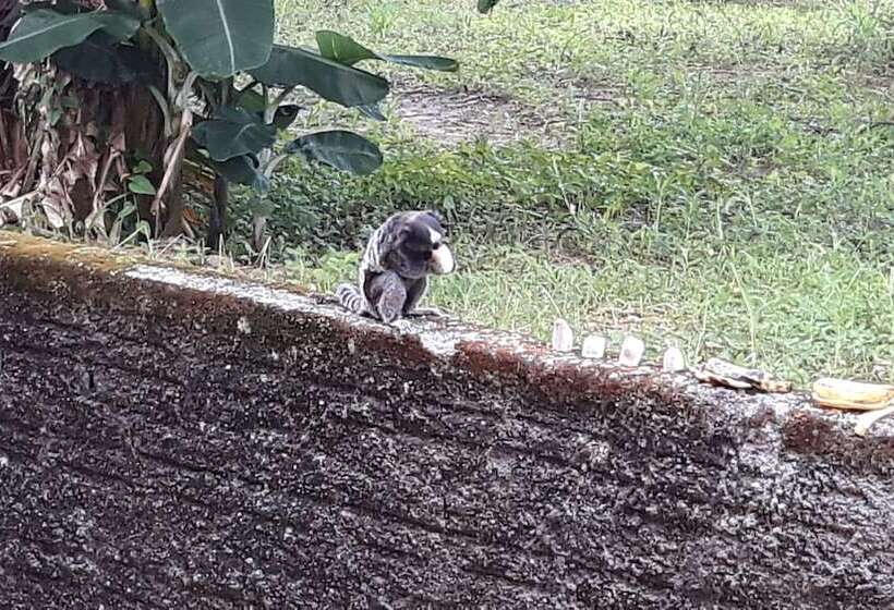 Hostel Retiro Do Sagui