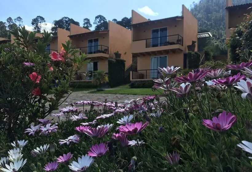 ホテル 7 Cabañas