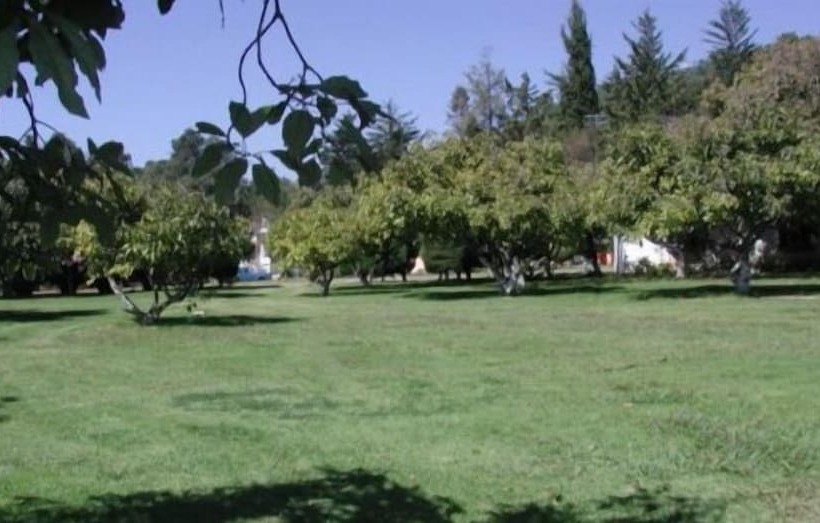 Отель Rancho Las Margaritas