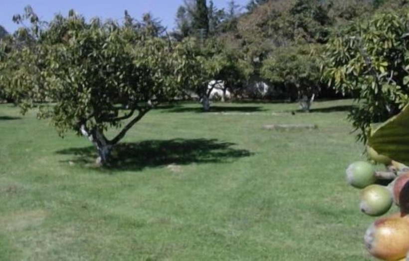 Отель Rancho Las Margaritas