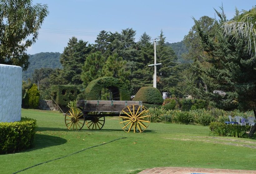 Отель Rancho Las Margaritas