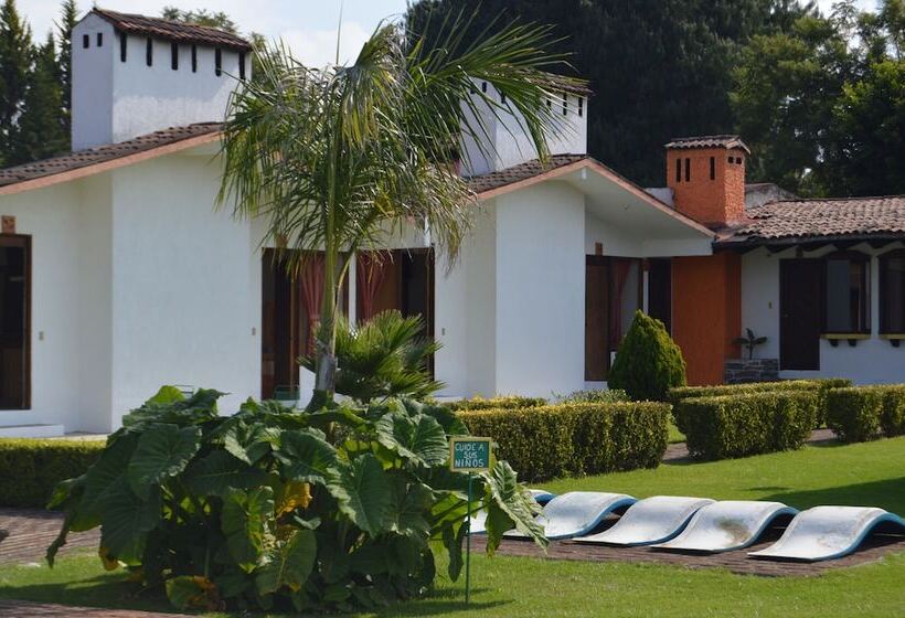 Отель Rancho Las Margaritas