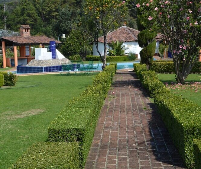 Отель Rancho Las Margaritas