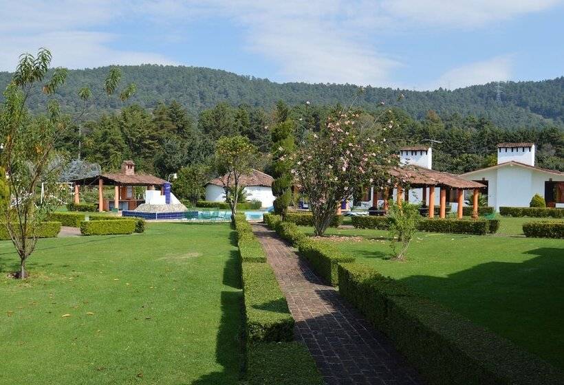 Отель Rancho Las Margaritas