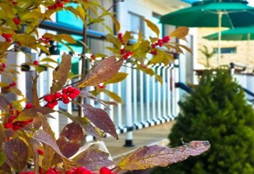 Seokmodo Neulhaerang Pension