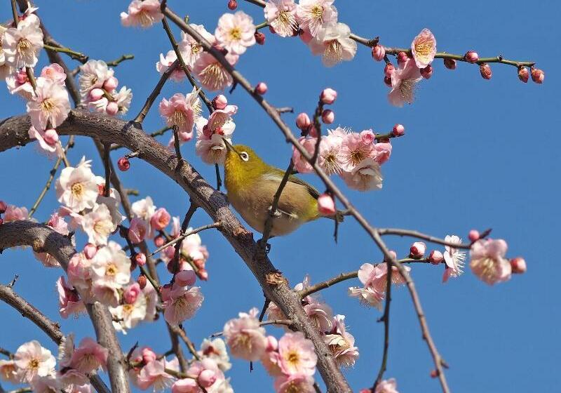 Apa Hotel Asakusa Kaminarimon Minami