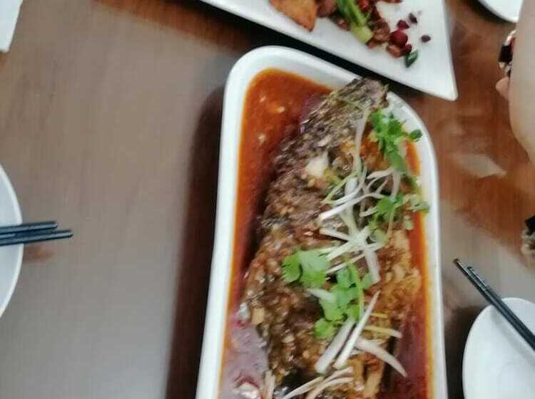 تختخواب و صبحانه Maidi Backpacker