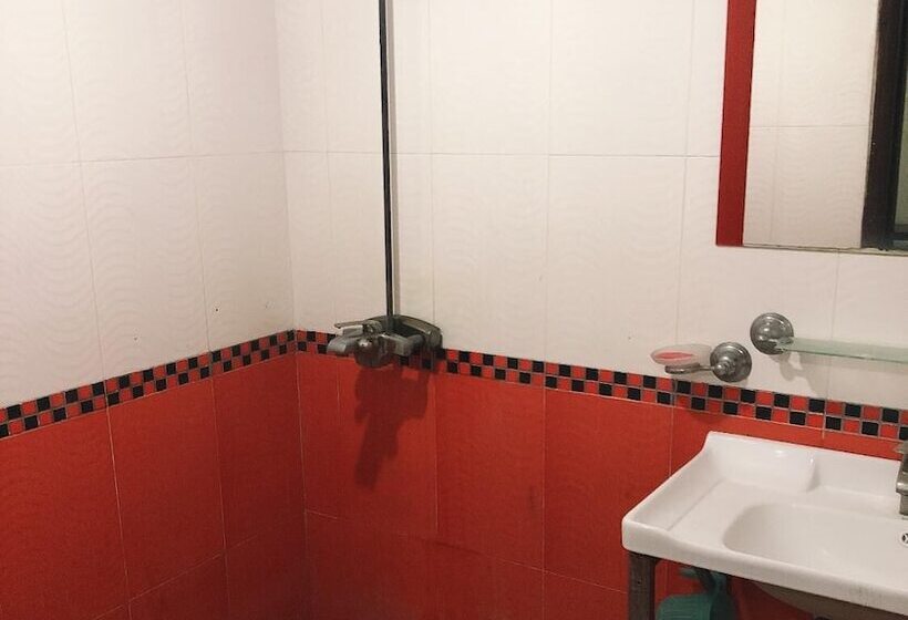 تختخواب و صبحانه Maidi Backpacker