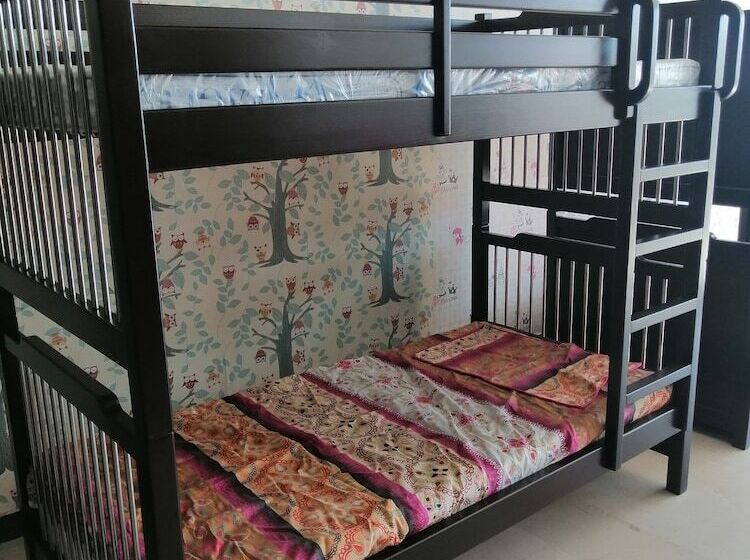 تختخواب و صبحانه Maidi Backpacker