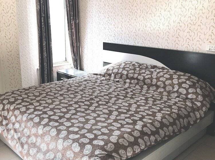 تختخواب و صبحانه Maidi Backpacker