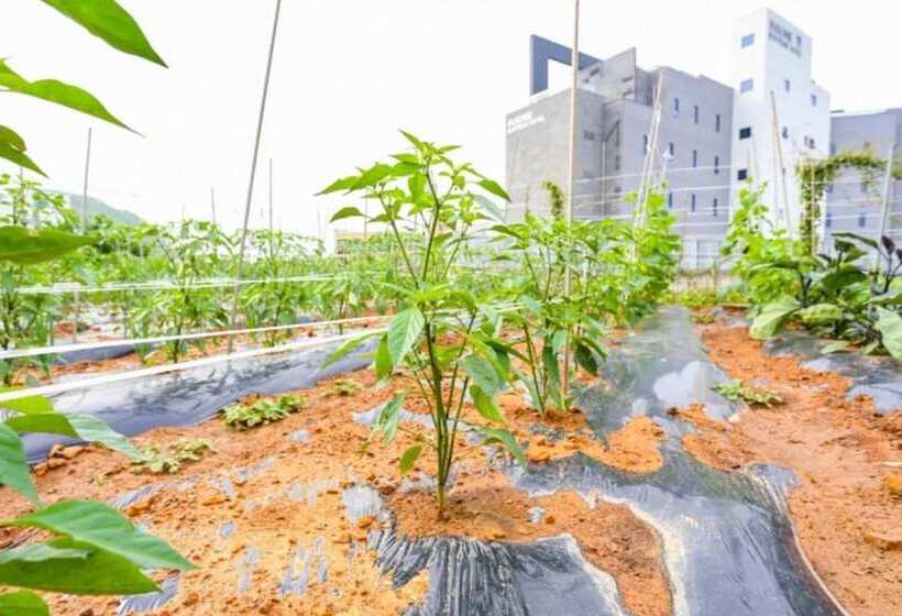 Daebudo Healing Pension