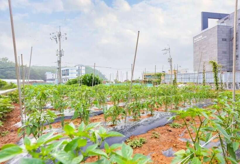 Daebudo Healing Pension