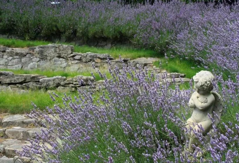 Bradleys Garden Bed And Breakfast