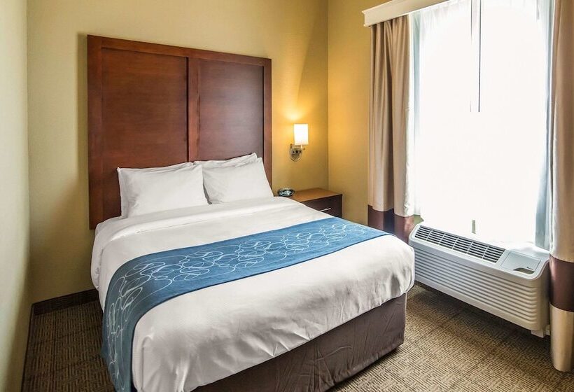 בית מלון כפרי Comfort Suites Dodge City