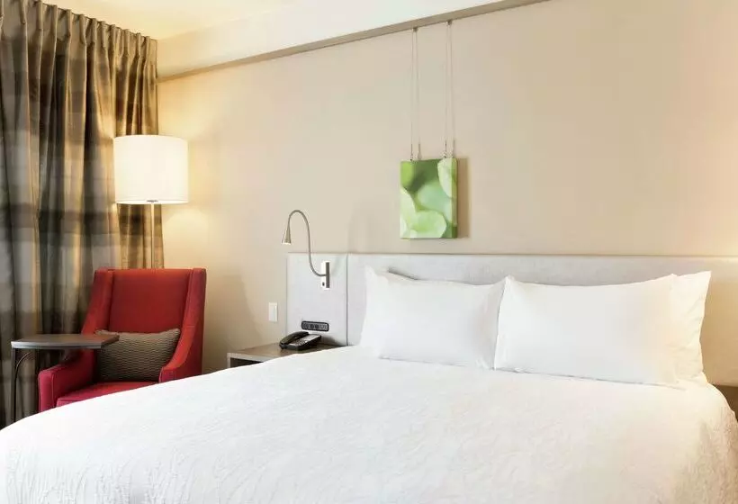 ホテル Hilton Garden Inn Pittsburgh Airport Southrobinson Mall